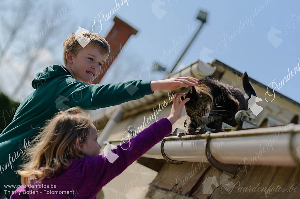 Photographe Fotograaf Equestre Paardenfotograaf Paardenfotos