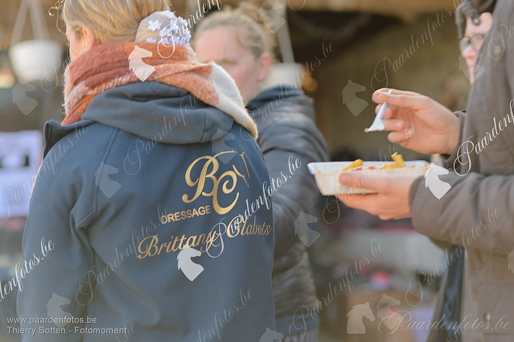 Photographe Fotograaf Equestre Paardenfotograaf Paardenfotos