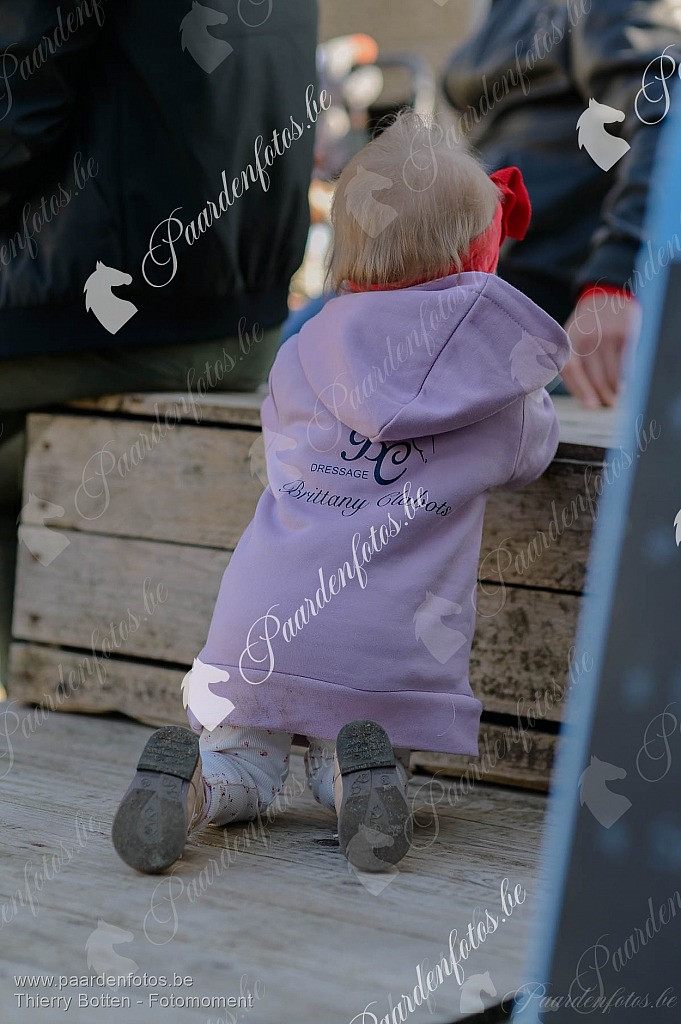 Photographe Fotograaf Equestre Paardenfotograaf Paardenfotos